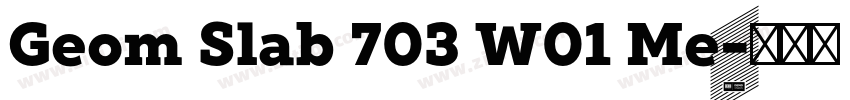 Geom Slab 703 W01 Me字体转换